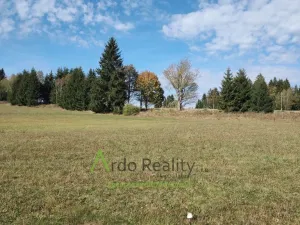 Prodej pozemku, Přední Výtoň, 13285 m2