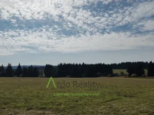 Prodej pozemku, Přední Výtoň, 13285 m2
