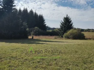 Prodej pozemku, Přední Výtoň, 13285 m2