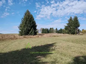 Prodej pozemku, Přední Výtoň, 13285 m2