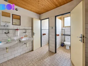 Prodej výrobních prostor, Pačejov, 4031 m2