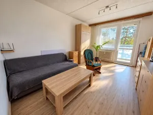 Prodej bytu 1+1, Třebíč - Nové Dvory, Kyjevská, 33 m2