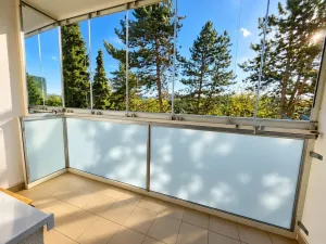 Prodej bytu 1+1, Třebíč - Nové Dvory, Kyjevská, 33 m2