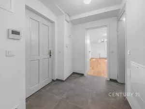 Pronájem bytu 2+kk, Praha - Nusle, Sezimova, 50 m2