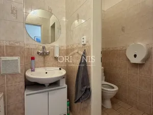 Pronájem obchodního prostoru, Chomutov, Raisova, 217 m2
