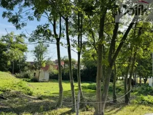 Prodej pozemku pro bydlení, Lipno - Lipenec, 852 m2