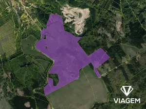 Prodej podílu lesa, Bojkovice, 3318 m2