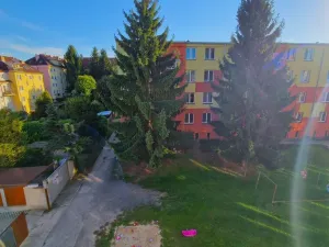 Pronájem bytu 4+kk, Litoměřice - Předměstí, Družstevní, 62 m2