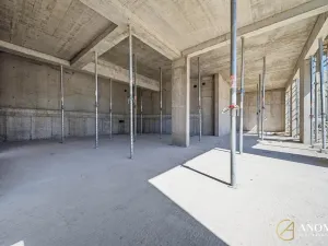 Prodej obchodního prostoru, Brno, 99 m2