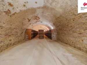 Prodej obchodního prostoru, Jiřice u Miroslavi, 662 m2