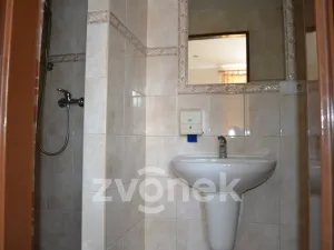 Prodej restaurace, Huslenky, 500 m2