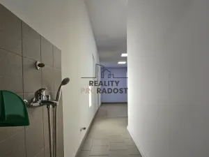 Pronájem obchodního prostoru, Hodonín, Kolískova, 130 m2