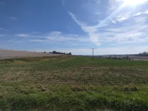 Prodej pozemku pro bydlení, Ježkovice, 56184 m2