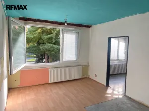Prodej bytu 1+1, Písek - Budějovické Předměstí, třída Přátelství, 42 m2