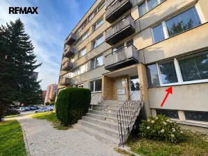 Prodej bytu 1+1, Písek - Budějovické Předměstí, třída Přátelství, 42 m2