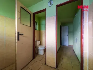 Prodej obchodního prostoru, Nová Ves - Vepřek, 600 m2