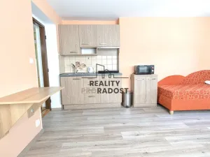 Pronájem bytu 1+kk, Hodonín, Bezručova, 28 m2