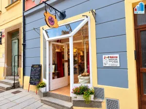 Pronájem obchodního prostoru, Plzeň - Vnitřní Město, Dřevěná, 73 m2