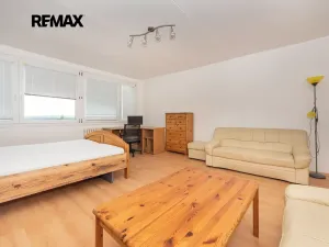 Pronájem bytu 1+1, Plzeň, Kreuzmannova, 46 m2