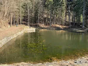 Prodej pozemku pro bydlení, Krhanice, 3530 m2