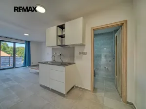 Pronájem bytu 1+kk, Velký Osek, Revoluční, 26 m2