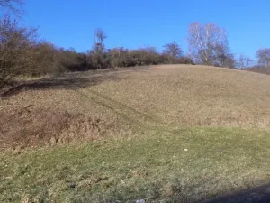 Dražba louky, Snědovice, 3880 m2