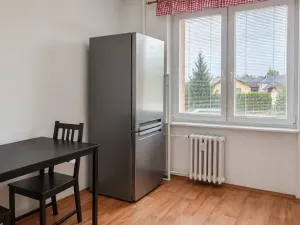 Pronájem bytu 1+1, Opava, 17. listopadu, 38 m2