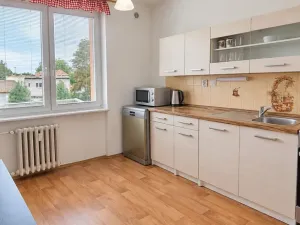 Pronájem bytu 1+1, Opava, 17. listopadu, 38 m2