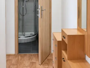 Pronájem bytu 1+1, Opava, 17. listopadu, 38 m2