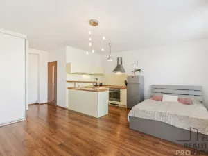 Prodej bytu 1+kk, Kladno, Moskevská, 35 m2