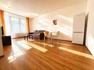 Pronájem bytu 2+kk, Praha - Karlín, Křižíkova, 52 m2