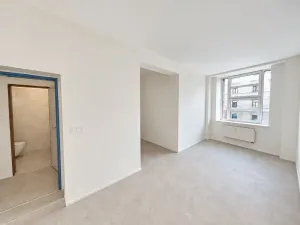 Pronájem bytu 1+kk, Brno, Cejl, 30 m2