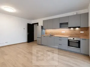 Pronájem bytu 2+kk, České Budějovice, Generála Klapálka, 55 m2