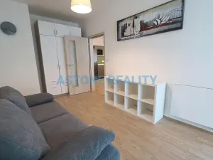 Pronájem bytu 4+kk, Praha - Žižkov, Olšanská, 110 m2