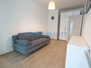 Pronájem bytu 4+kk, Praha - Žižkov, Olšanská, 110 m2
