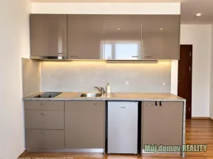 Prodej bytu 1+kk, Praha - Hloubětín, 29 m2