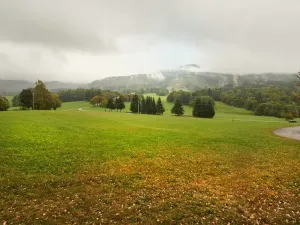 Prodej pozemku, Machov, 15555 m2