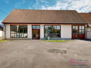 Prodej obchodního prostoru, Březí, Hlavní, 639 m2