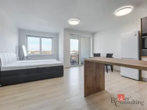 Pronájem bytu 1+kk, Plzeň - Jižní Předměstí, Boettingerova, 36 m2