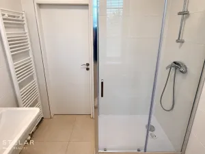 Pronájem bytu 1+kk, Opava - Předměstí, Mostní, 33 m2