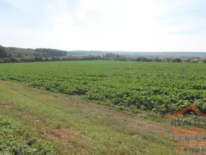 Prodej pozemku pro bydlení, Chotětov, 2109 m2