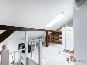 Pronájem bytu 1+kk, Praha - Nové Město, Vladislavova, 26 m2