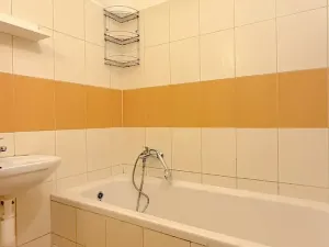 Pronájem bytu 1+1, Brno, Štěpánská, 45 m2