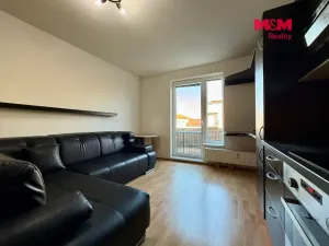 Pronájem bytu 2+kk, Brandýs nad Labem-Stará Boleslav, U Rokle, 50 m2