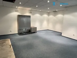 Pronájem ordinace, Frýdek-Místek - Frýdek, tř. T. G. Masaryka, 380 m2