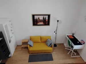 Prodej bytu 1+kk, Praha - Nové Město, Sokolská, 23 m2