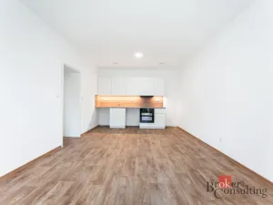 Prodej bytu 2+kk, Ostrava - Slezská Ostrava, Kovařovicova, 44 m2