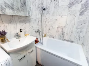 Prodej bytu 1+kk, Český Těšín, Ostravská, 31 m2