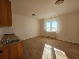 Pronájem bytu 2+kk, Plzeň, Malesická, 42 m2