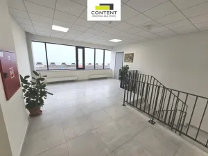 Pronájem skladu, Brno - Líšeň, Trnkova, 16000 m2